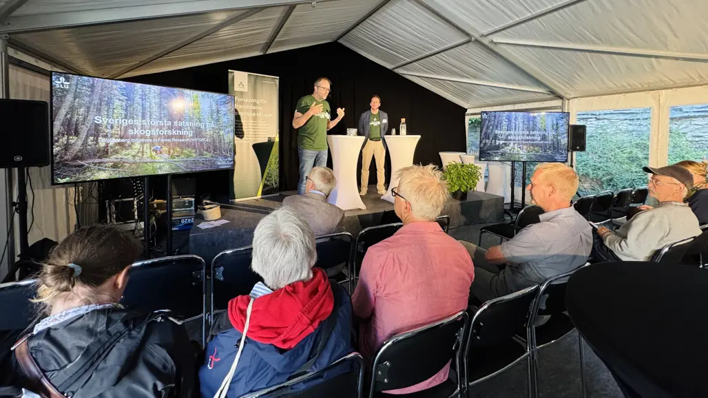 Almedalen WIFORCE