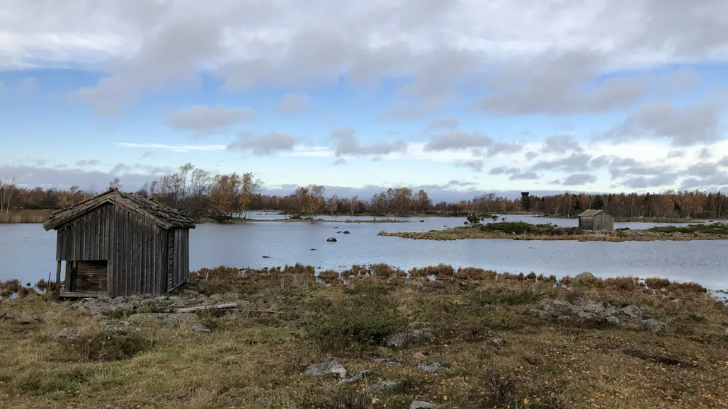 Landskap med timrad koja