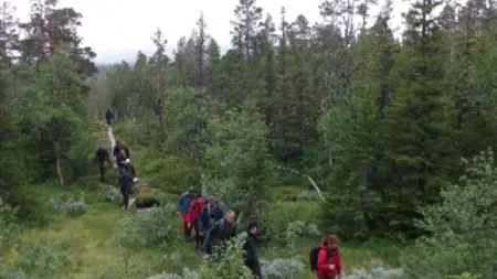Personer går ute