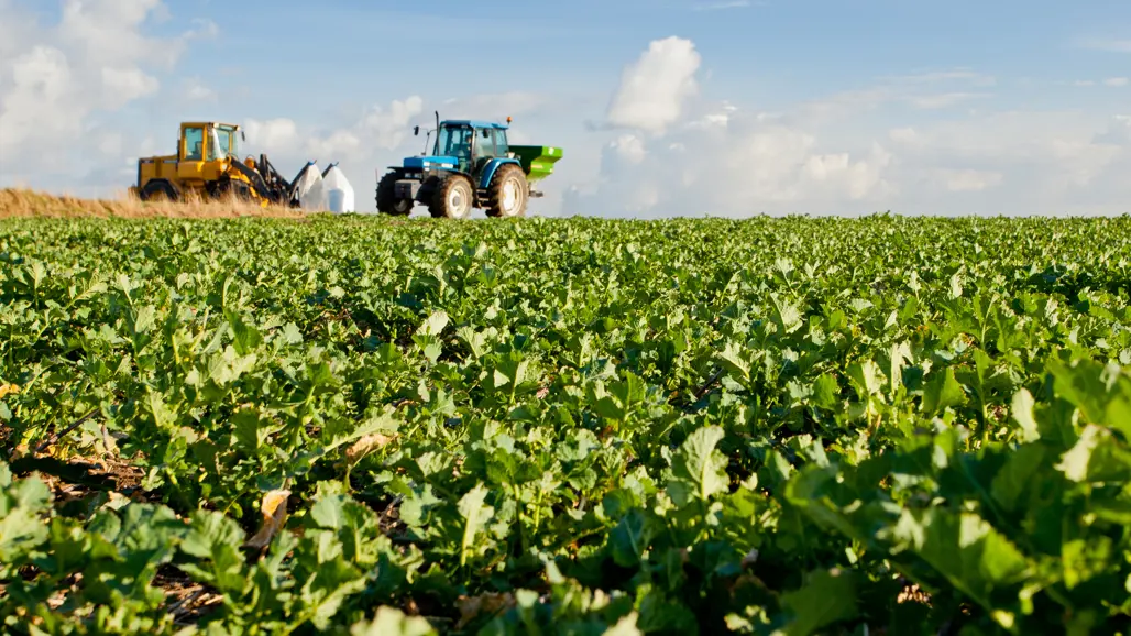 An agricultural machine drives in a field. Blue sky with clouds in the background.