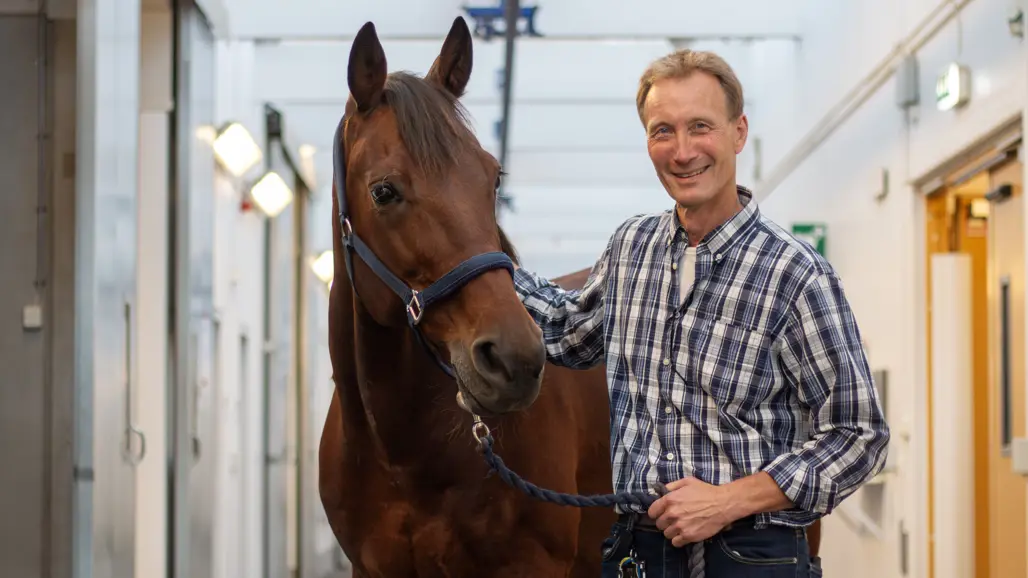 Foto av en man i rutig skjorta (Tomas Bergström, SLU) som står bredvid en brun häst i ett stall.