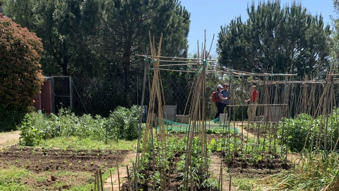 Urban Agriculture in Barcelona”