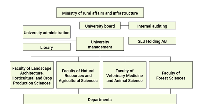 organisation chart