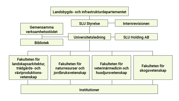Organisationsdiagram för Sveriges lantbruksuniversitet (SLU). Diagrammet visar hierarkin med Landsbygds- och infrastrukturdepartementet högst upp, följt av Gemensamma verkställighetsstöd, SLU Styrelse, Internrevisionen, och Bibliotek. Under SLU Styrelse finns Universitetsledningen och SLU Holding AB. Under Universitetsledningen finns fakulteterna för landskaparkitektur, trädgårds- och växtproduktionsvetenskap, naturresurser och jordbruksvetenskap, veterinärmedicin och husdjursvetenskap, samt skogsvetenskap. Längst ner finns en nivå för institutioner.