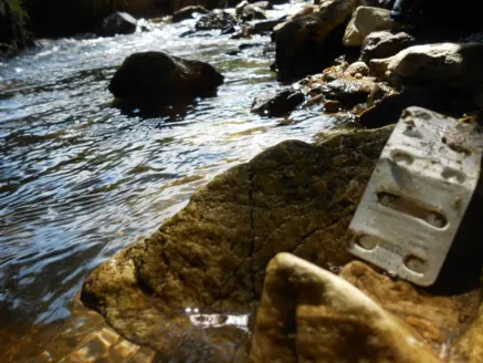 Monitoring Organic Micropollutants in surface water