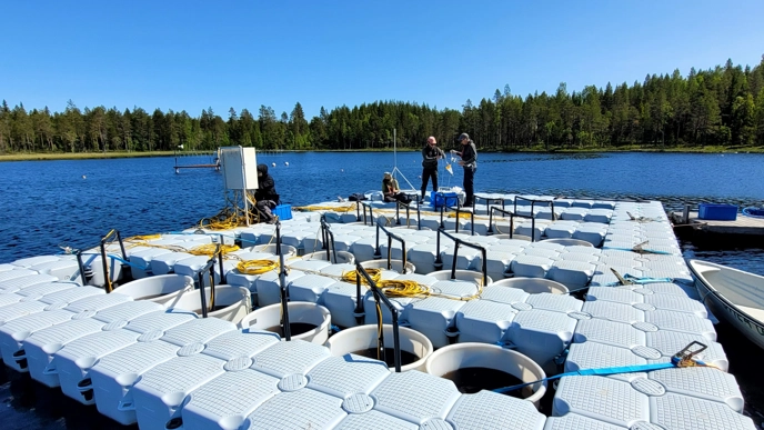 Forskare arbetar på en stor flytande plattform med flera cylindriska tankar på en sjö, omgiven av skog under en klarblå himmel.