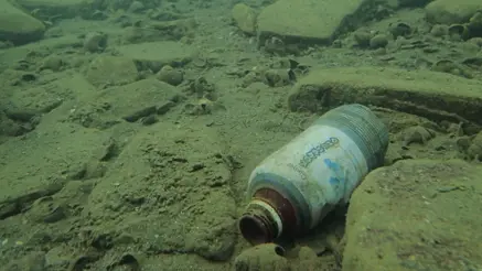 Undervattensbild som visar en bortkastad plastflaska på en stenig havsbotten, omgiven av spridda snäckor.