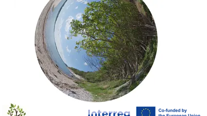 Natureach image logo Aurora