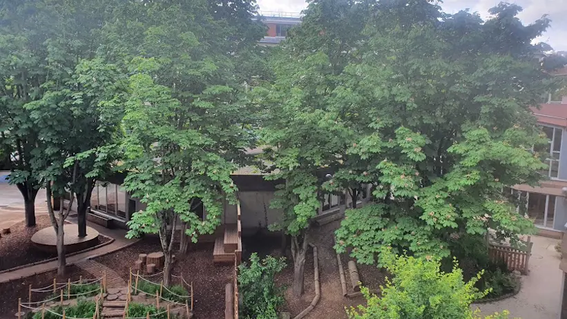 A schoolyard from the Oasis project described in the podcast.
