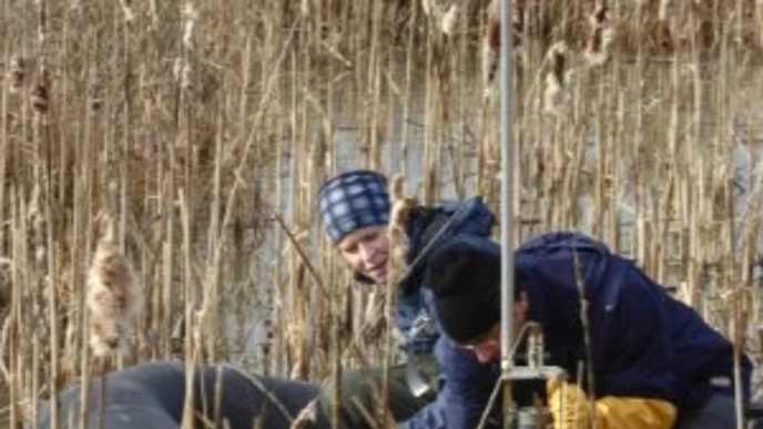Sedimentprovtagning i en anlagd våtmark nära Enköping. Foto: Mike Peacock
