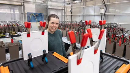 Researcher in greenhouse with plant experiments.