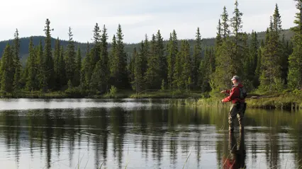 Man med fiskespö i skogstjärn