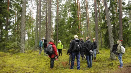 people in aforest