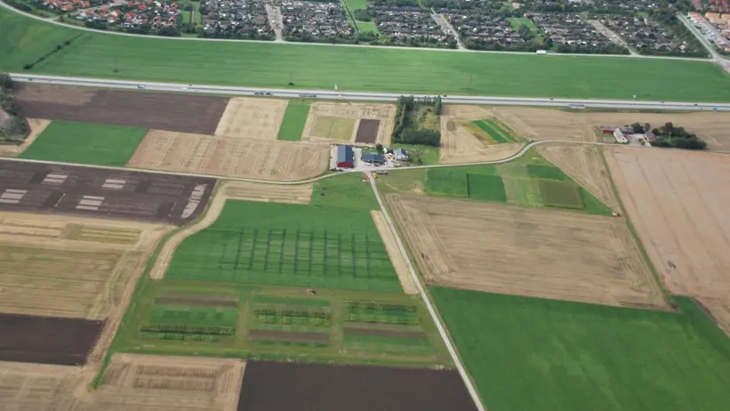 Conventional production area 60 ha