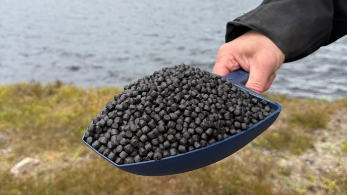 En hand håller i en blå skopa med fiskfoder utomhus. I bakgrunden ses vatten och lite gräs.