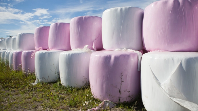 Ensilagebalar
