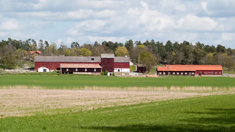 View of field with farm in the background.
