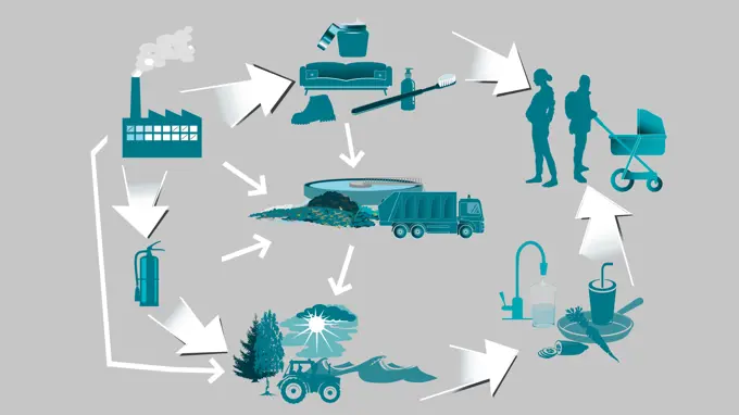 PFAS exponeringsvägar. Illustration.