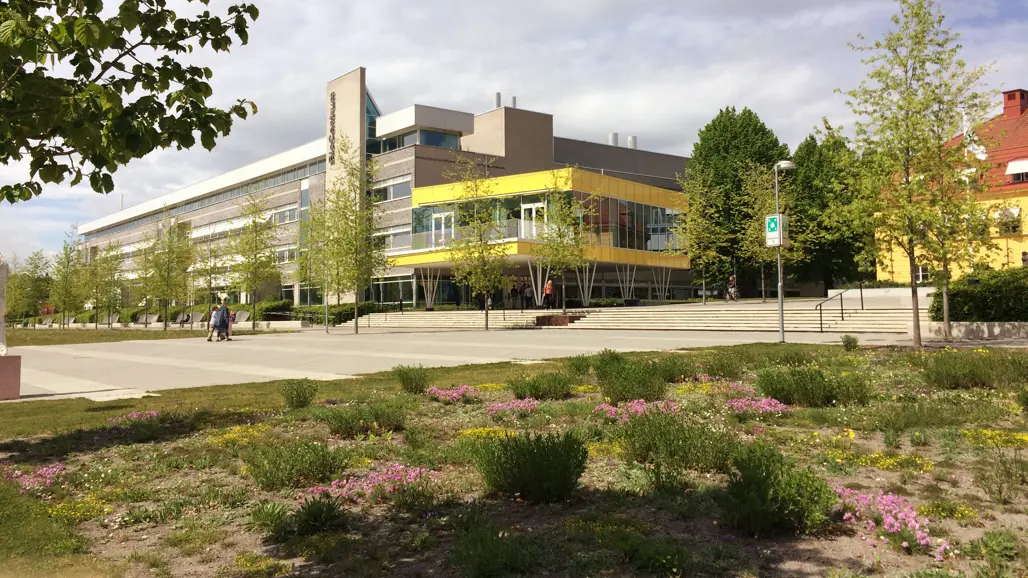 Utomhusmiljö på campus. Olika hus i bakgrunden och med växtlighet i förgrunden