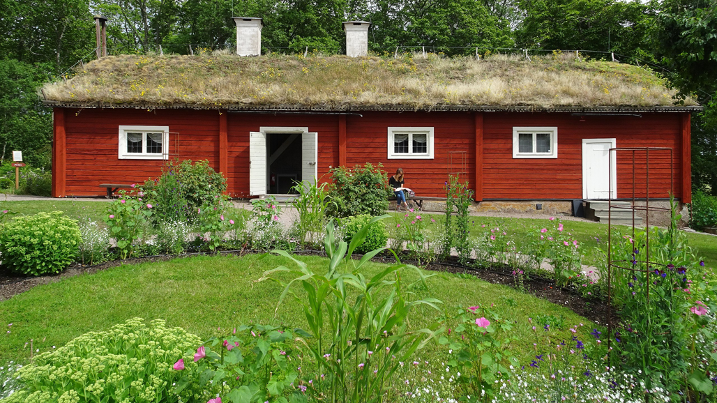 En blommande trädgård framför en faluröd timmerbyggnad med grästak.