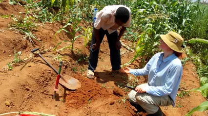 Sofie and a man explore the earth in a corn field.