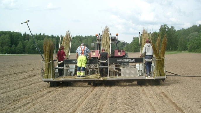 Four people are driving away in a planting machine in a field.