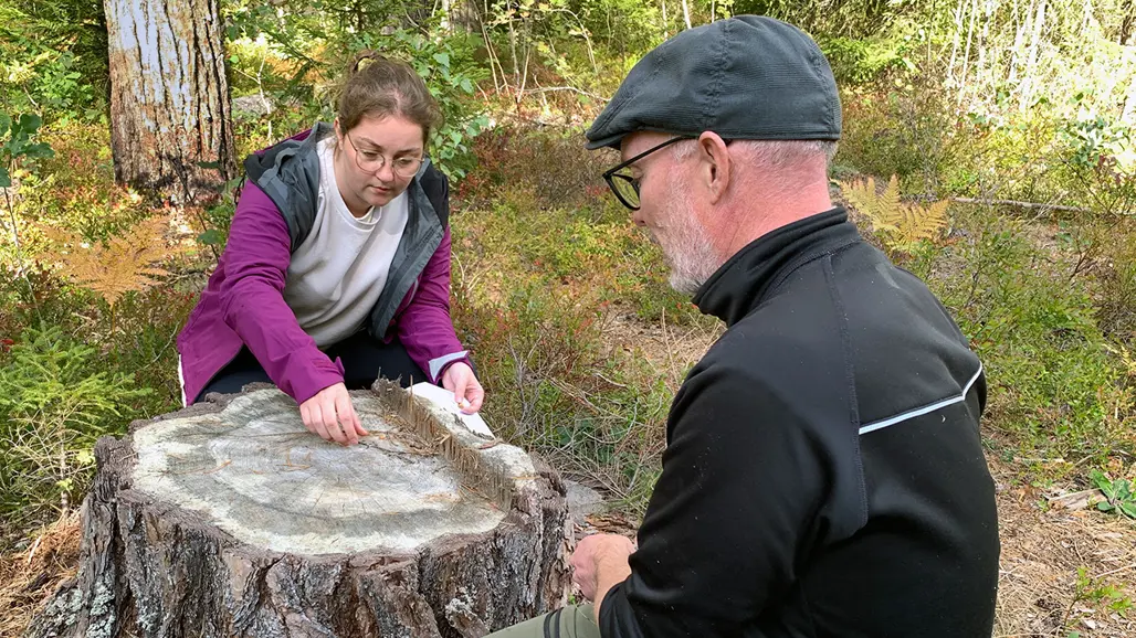 Två människor tittar på en stubbe