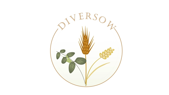 Logotype for Diversow.