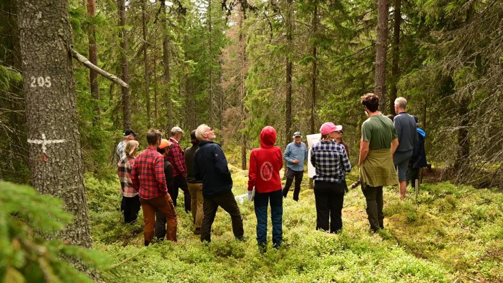 Personer som lyssnar på en föreläsare ute i skogen