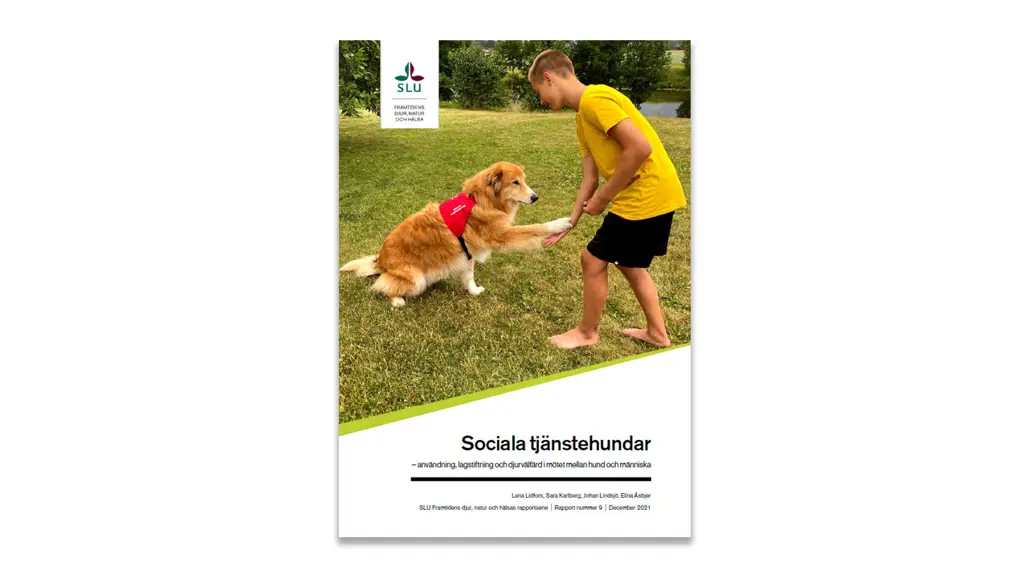 Report cover. Image.