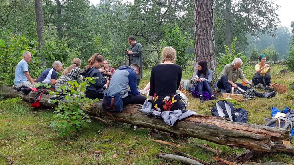 Många personer sitter i skogen. Foto.