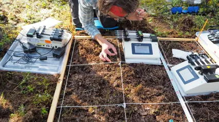 Researcher examining forest soil using measuring equipment.