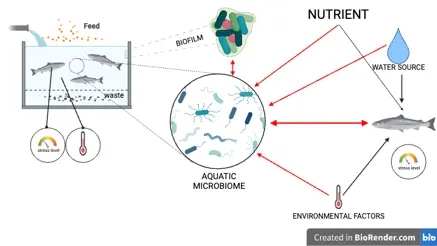 The water microbiome as a biosensor in aquaculture. Illustration by Nhat Ton Nguyen