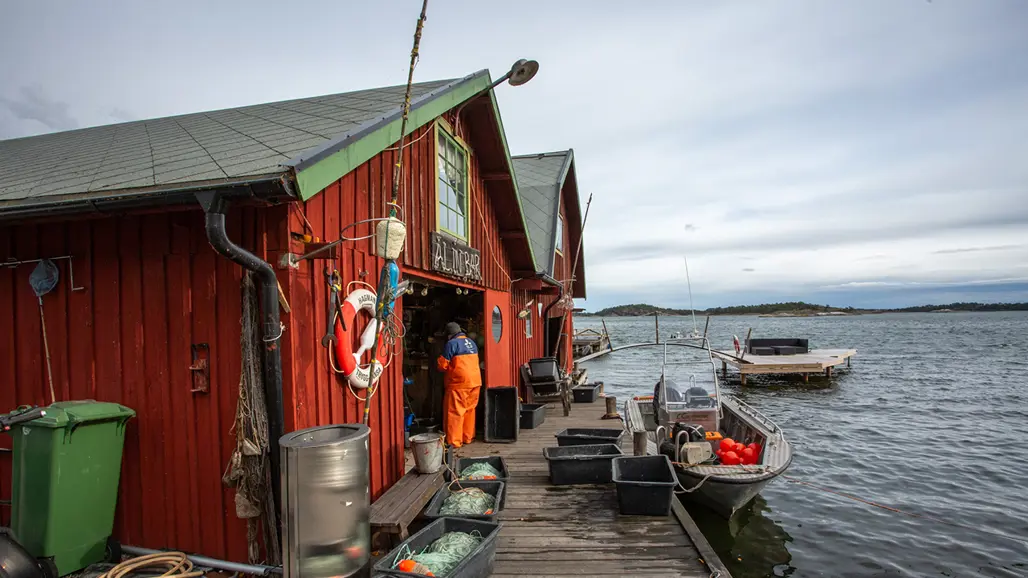 Motorbåt med fiskenät utanför en sjöbod