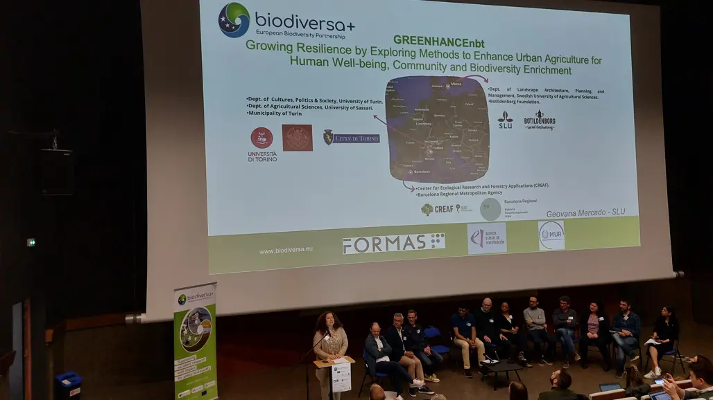 A researcher speaking in front of a large crowd