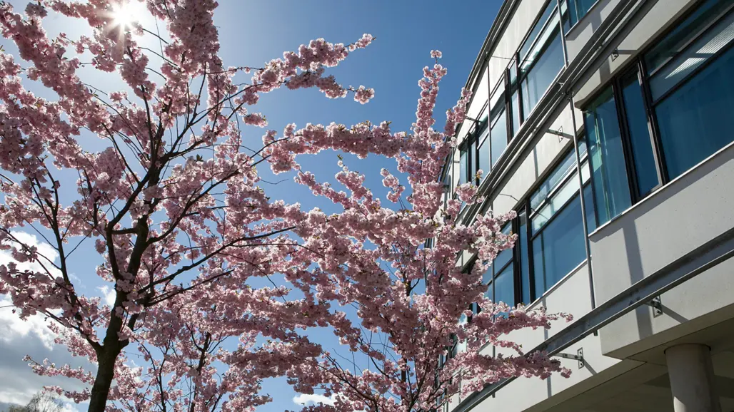 veterinärmedicinskt-och-husdjursvetenskapligt-centrum-uppsala