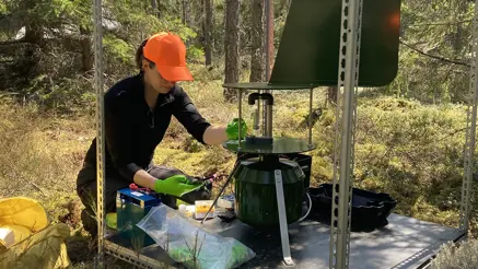Kvinna arbetar med apparat i skogen.