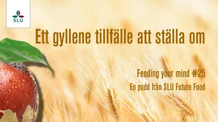 Vinjettbild för podden Feeding your mind.