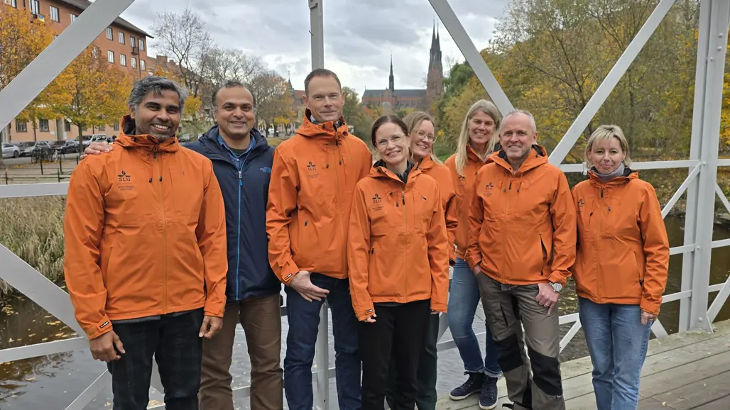 Gruppbild på analytikerna. Foto.