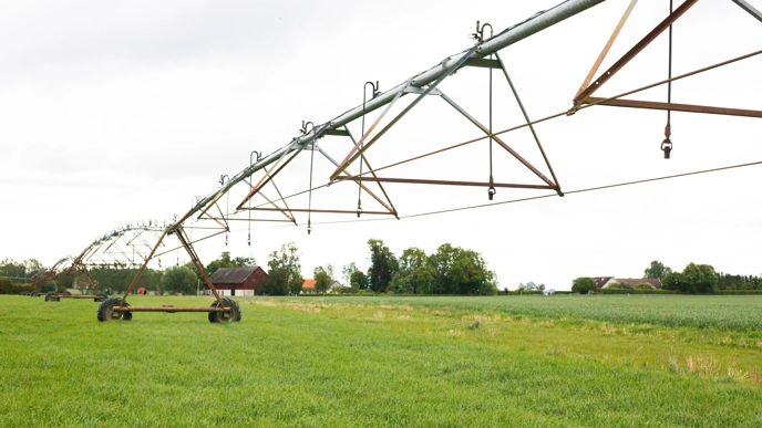 A large irrigation device over a wheat field.