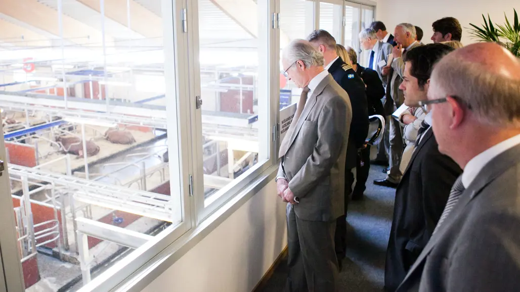 H.M.K Carl XVI Gustaf blickar ned i kostallet vid invigningen av Lövsta lantbruksforskning, våren 2012.