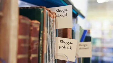 Old books, the Forestry Library, SLU Umeå, photo.