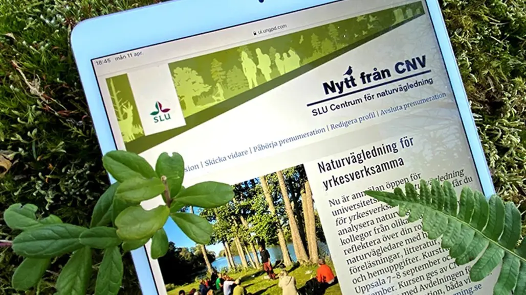 Nytt från CNV