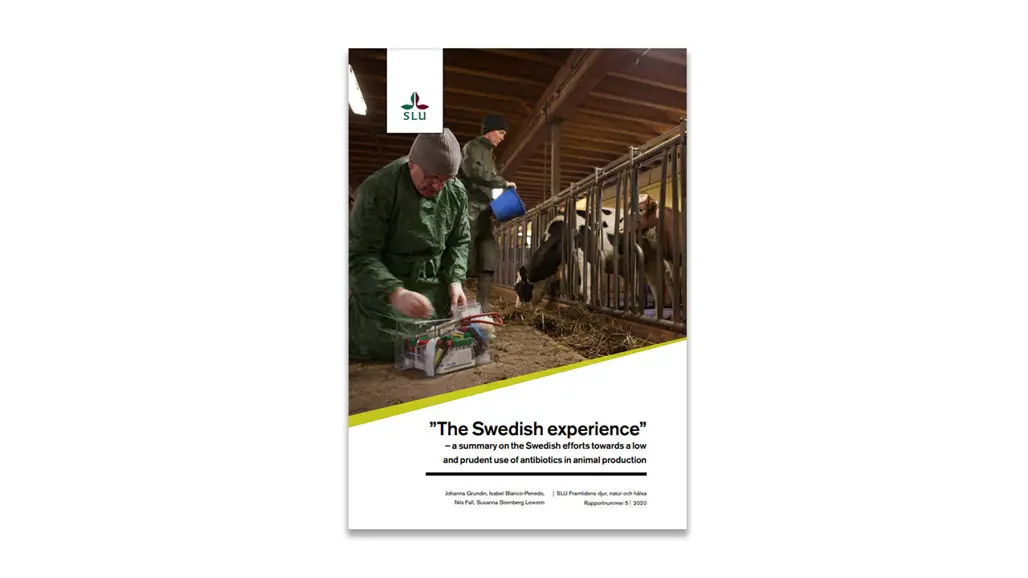 Report cover with picture and title.