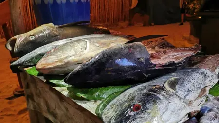 Upplyst kvällsbild av ett bord täckt med stora, nyfångade fiskar som ligger uppradade på gröna blad. Bilden är tagen i en strandmiljö, med sand och en bambuvägg i bakgrunden. Fisken varierar i storlek och art, och vissa har redan blivit delvis rensade.