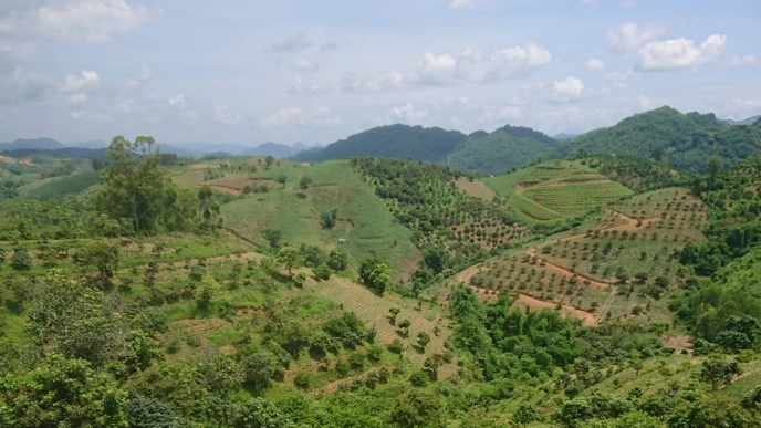 Sloping uplands of Vietnam.