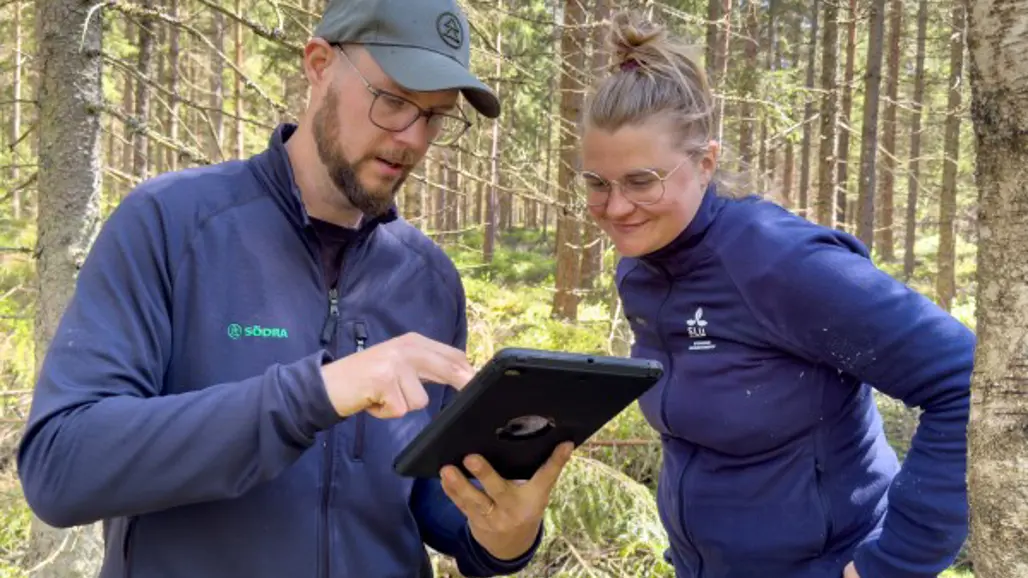 en man och en kvinna studerar en iPad i skogen