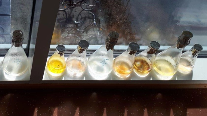 Containers with different colored water. Photo.