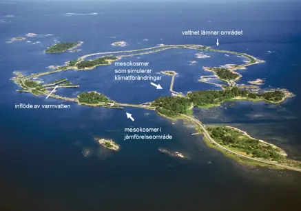 Flygbild över ett kustlandskap med flera sammanlänkade öar omgivna av blått hav. Smala vägar och broar förbinder öarna, som är täckta av grön vegetation och har små byggnader och bryggor. Mindre skär och holmar syns utspridda i vattnet runtomkring.