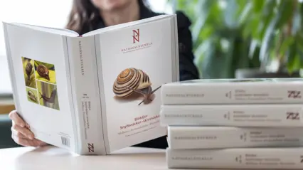 Kvinna läser i bok bredvid trave av liknande böcker. Foto